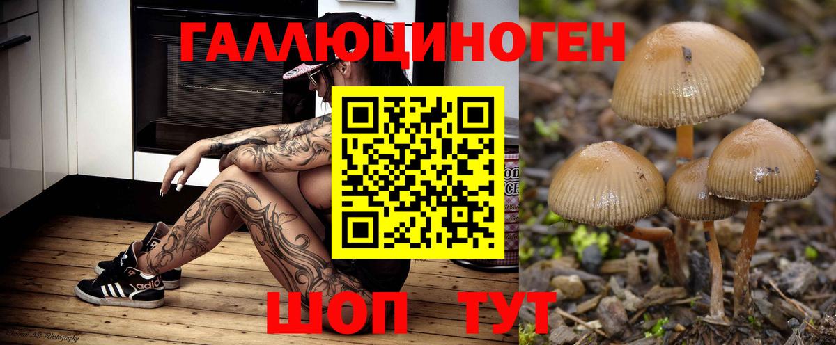 Егорьевск  Псилоцибиновые грибы ЛСД  что такое наркотик  Вход с VPN 